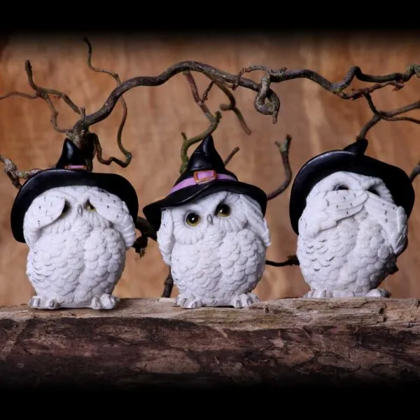 u5736u1-7.webp Three Wise Feathered Familiars 9cm