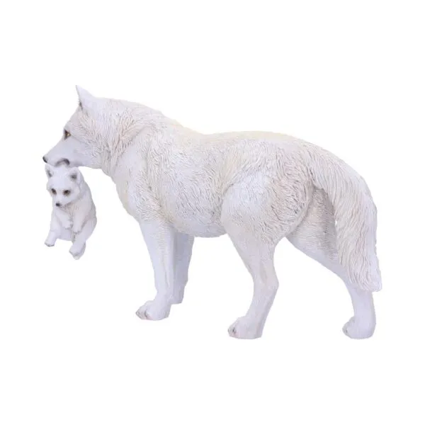 u6131w2-1.webp Winter Bond 30cm