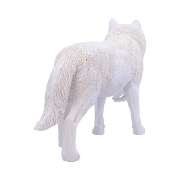 u6131w2-2.webp Winter Bond 30cm