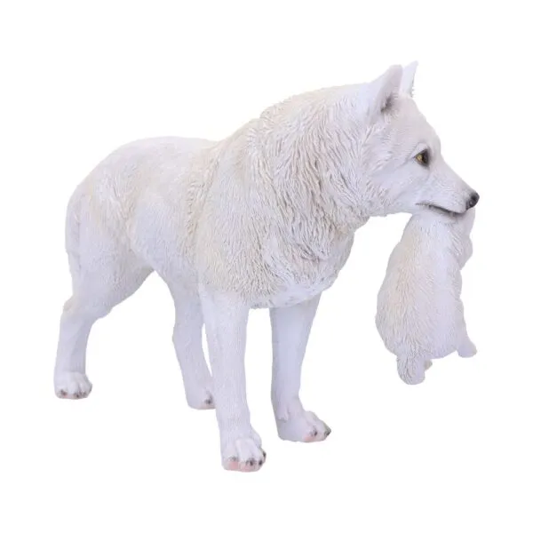 u6131w2-3.webp Winter Bond 30cm