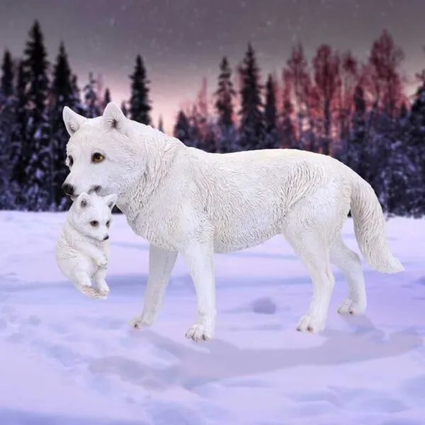 u6131w2-7.webp Winter Bond 30cm