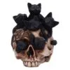 u6505y3-1.webp Cranial Litter Black Kittens in Skull Figurine 14cm