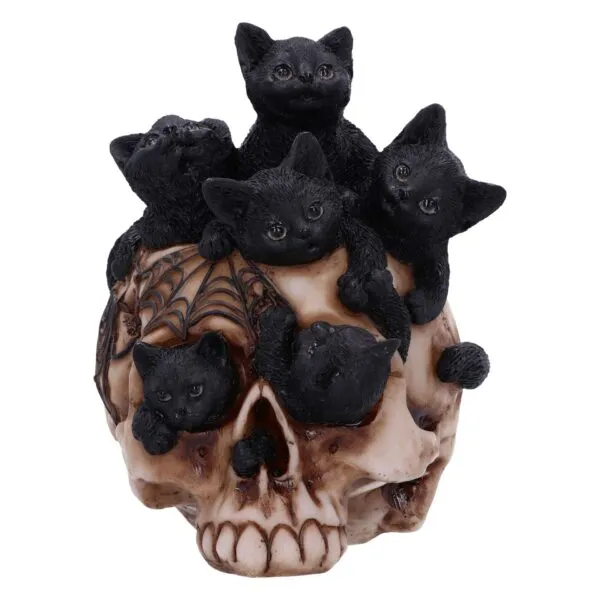 u6505y3-1.webp Cranial Litter Black Kittens in Skull Figurine 14cm