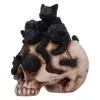 u6505y3-2.webp Cranial Litter Black Kittens in Skull Figurine 14cm