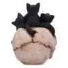 u6505y3-3.webp Cranial Litter Black Kittens in Skull Figurine 14cm