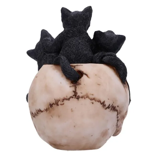 u6505y3-3.webp Cranial Litter Black Kittens in Skull Figurine 14cm