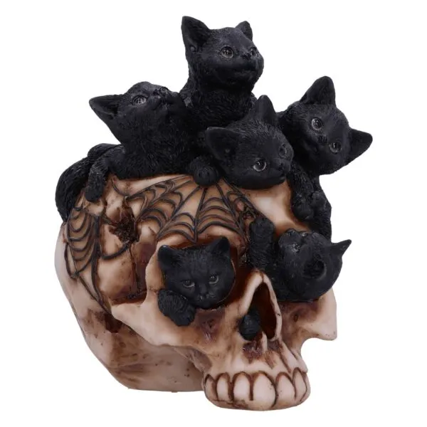 u6505y3.webp Cranial Litter Black Kittens