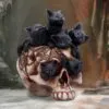 u6505y3-7.webp Cranial Litter Black Kittens in Skull Figurine 14cm