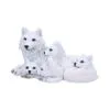 u6734a24-1.webp Pups Protection 20.5cm