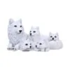 u6734a24.webp Pups Protection 20.5cm