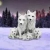u6735a24-7.webp Protected Pups