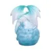 u6869c24-2.webp Northern Lights 20cm