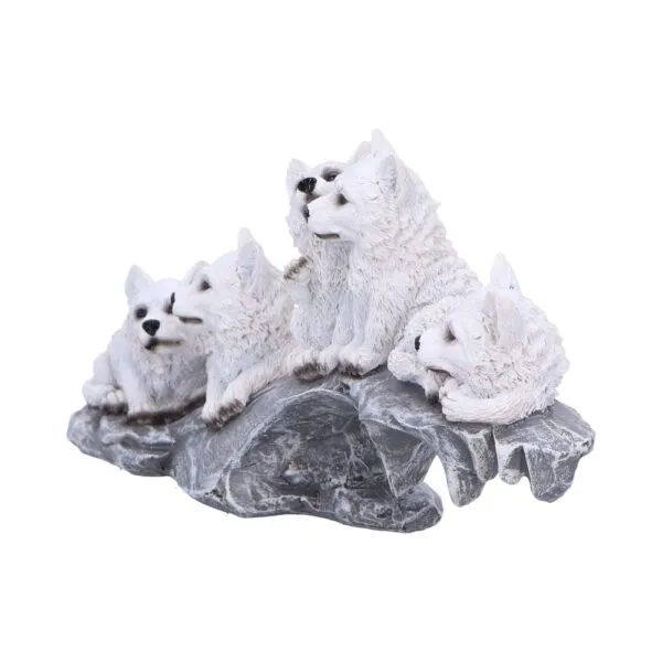 u6873c24-1.webp Winter Litter 25cm