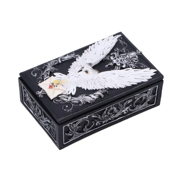 u7005a25-1.webp Owl Messenger Box 14cm