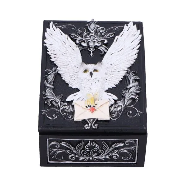 u7005a25.webp Owl Messenger Box 14cm