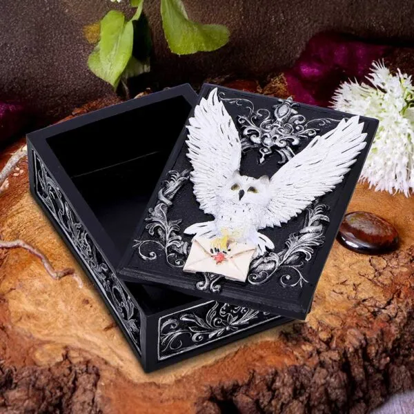 u7005a25-7.webp Owl Messenger Box 14cm