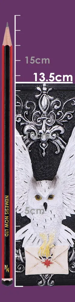 u7005a25-size.webp Owl Messenger Box 14cm