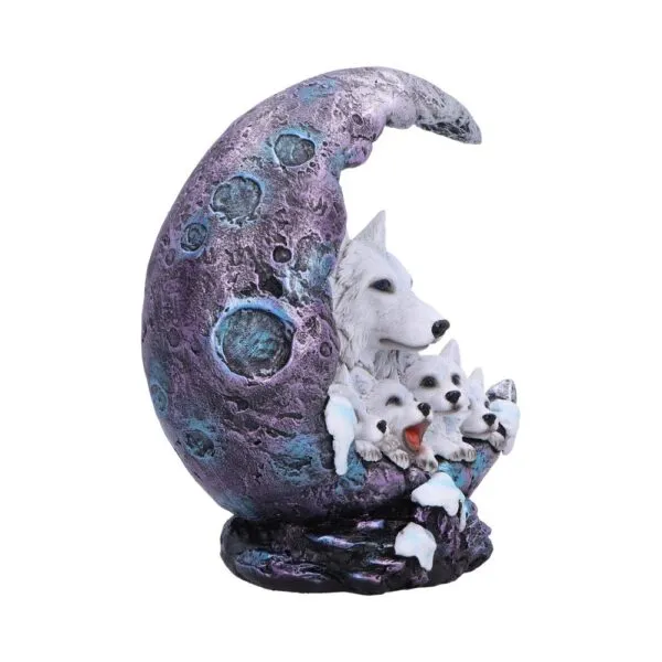 u7042m25-3.webp Winter Moon 20cm