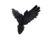 u7043m25-1.webp Flight of the Raven 35cm