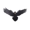 u7043m25-2.webp Flight of the Raven 35cm
