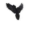 u7043m25-3.webp Flight of the Raven 35cm