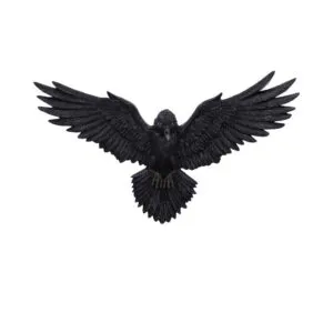 u7043m25.webp Flight of the Raven 35cm