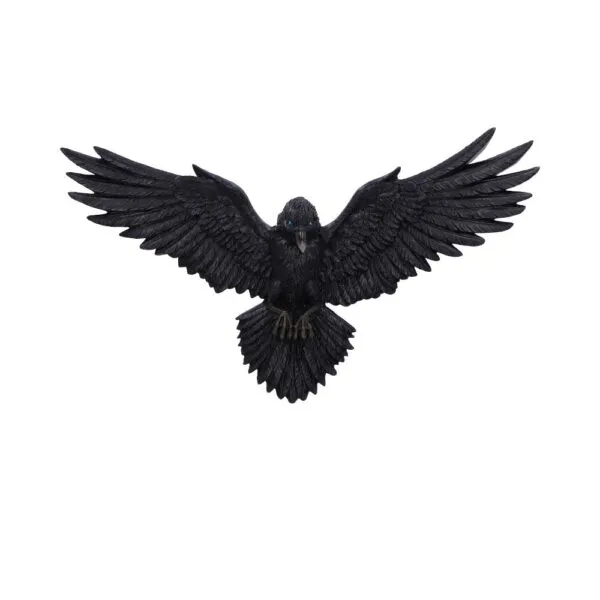 u7043m25.webp Flight of the Raven 35cm