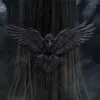 u7043m25-7.webp Flight of the Raven 35cm