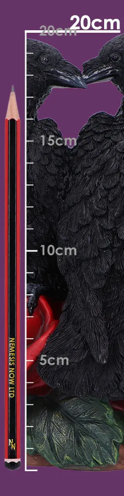 u7107b25-size.webp Raven Romance 20cm