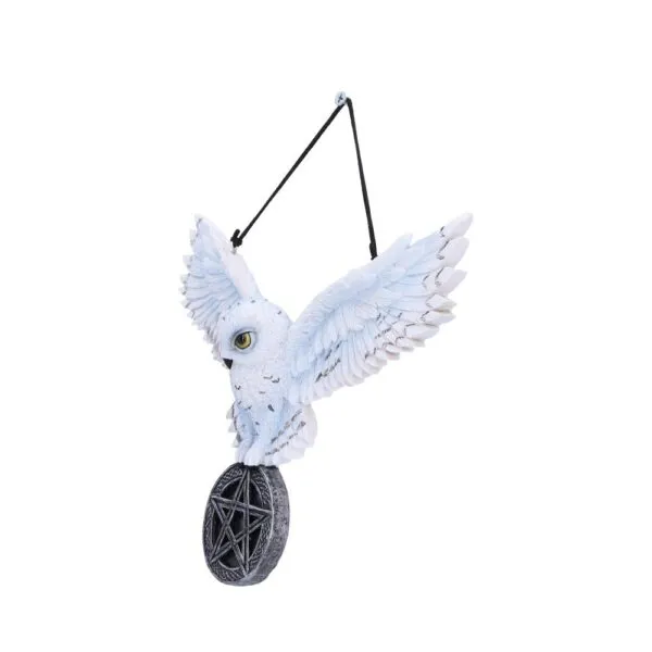 u7109b25-1.webp Owl Talisman 20.5cm
