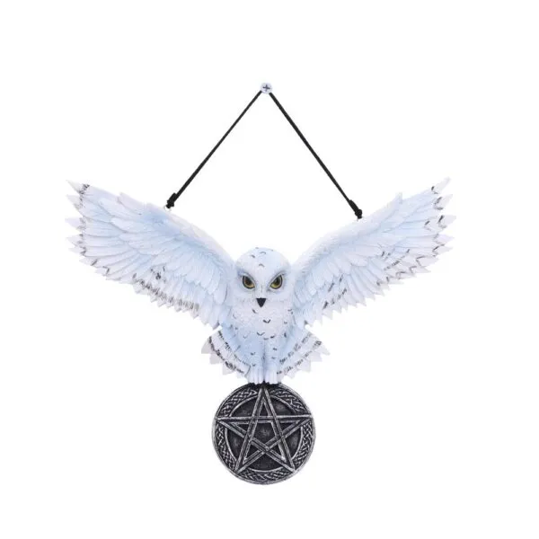 u7109b25.webp Owl Talisman 20.5cm