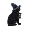 u7227c25-3.webp Familiar's Lantern 18cm
