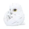 u7418a26-1.webp Feathered Nest 10.7cm