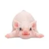 u7423a26.webp Truffle 8.5cm
