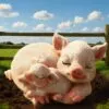 u7426a26-7.webp Cuddle 10.8cm