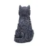 u7569b26-2.webp Hexbound Familiar (Black)