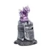 u7595b26-3.webp Hatchling Helm (Purple)