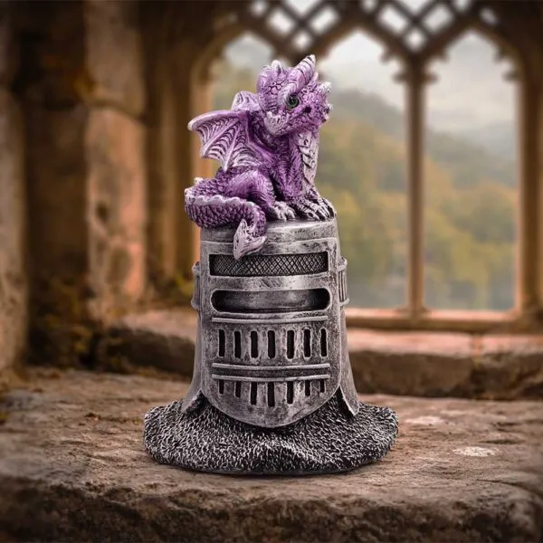 u7595b26-7.webp Hatchling Helm (Purple)