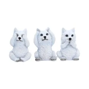 Three Wise Wolf Pups