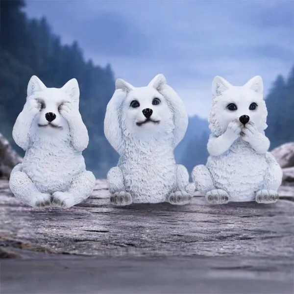 u7613b26-7.webp Three Wise Wolf Pups