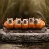 u7616b26-7.webp Capybara Herd