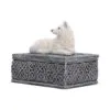 u7752c26-1.webp Ghost Wolf Box 10cm