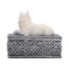u7752c26-2.webp Ghost Wolf Box 10cm