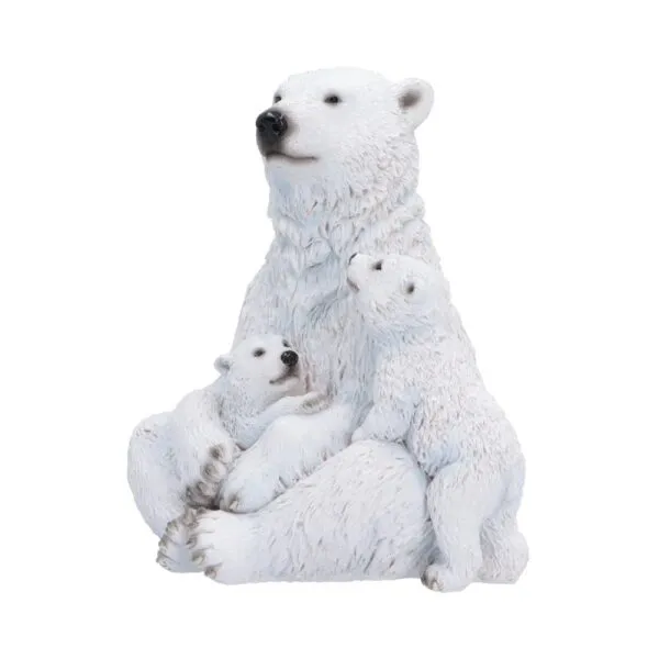 u7761c26-1.webp Polar Protection 12.7cm