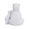 u7761c26-2.webp Polar Protection 12.7cm