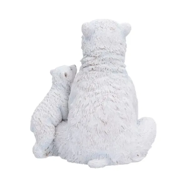 u7761c26-2.webp Polar Protection 12.7cm
