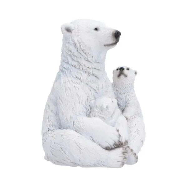 u7761c26-3.webp Polar Protection 12.7cm