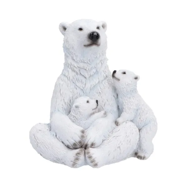 u7761c26.webp Polar Protection 12.7cm