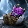 Shellbound Slumber 9.5cm